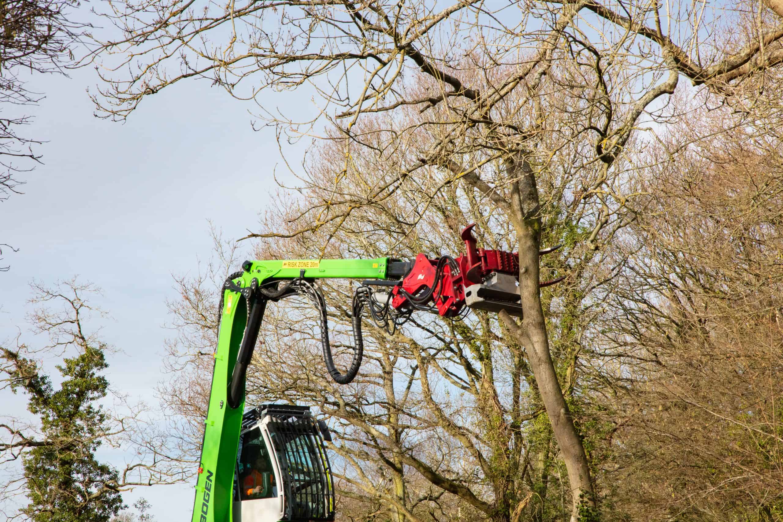 Grapple saw on the boom of a Sennebogen 718 reaching into the bare crown of a roadside ash