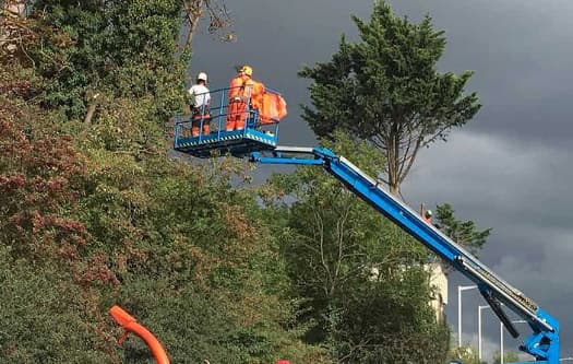 Residential Tree Services