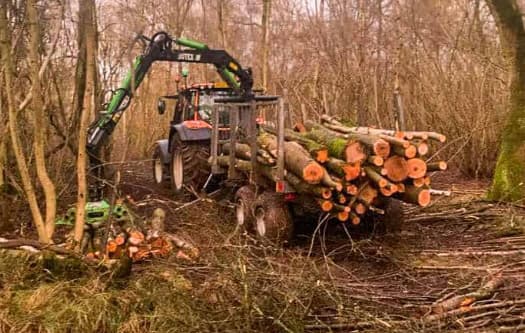 Woodland and Enviromental