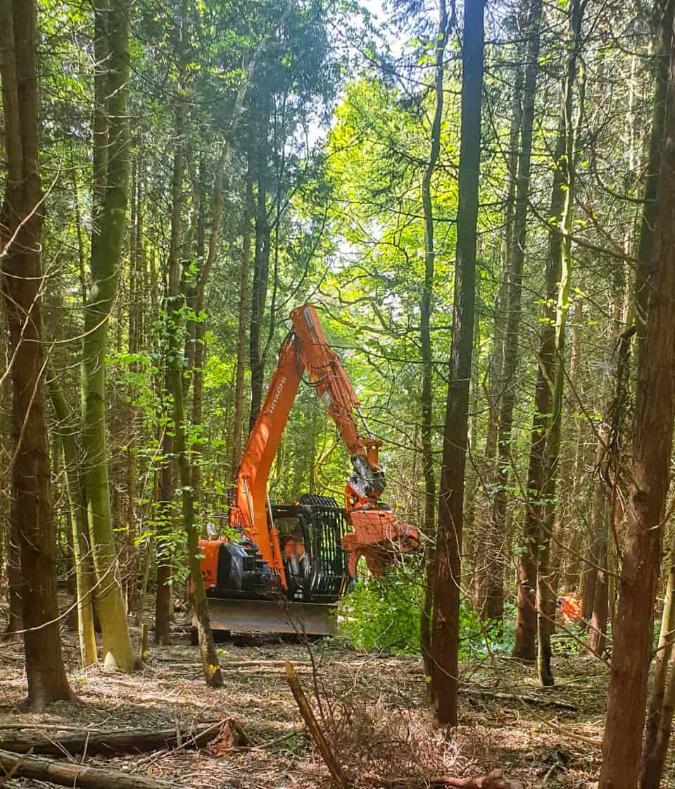 Hitachi Zaxis 135 with Woodcracker CL-350 Tree-Shear